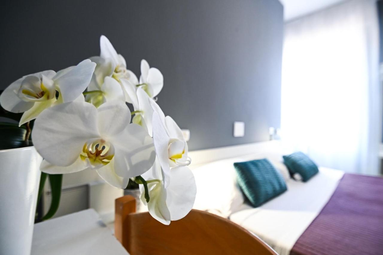 Hotel Montebello 리치오네 외부 사진